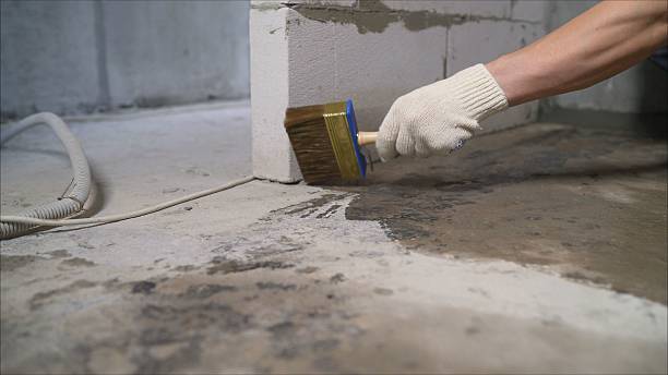 24/7 Emergency Crawl Space Encapsulation experts in Alexander City, AL